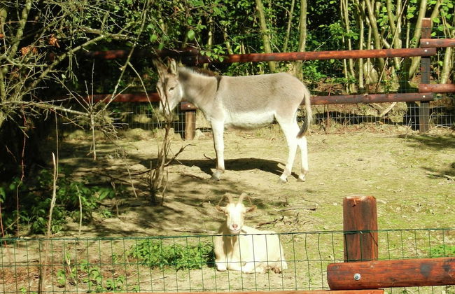 Charming Apartment in Sensenruth with Hot Tub - Photo 13
