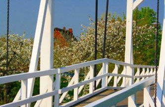 Fewo Lüheblick im Haus Lühegarten - Photo 31