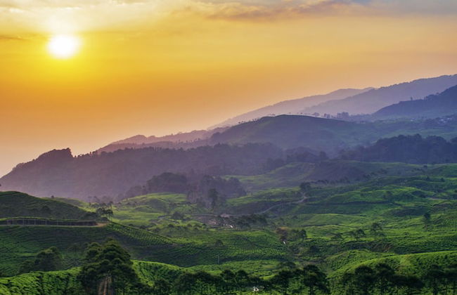 Homestay Sembiring Puncak - Photo 26