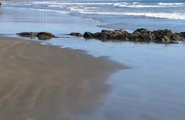 Oakwood Lodge - Foto 39