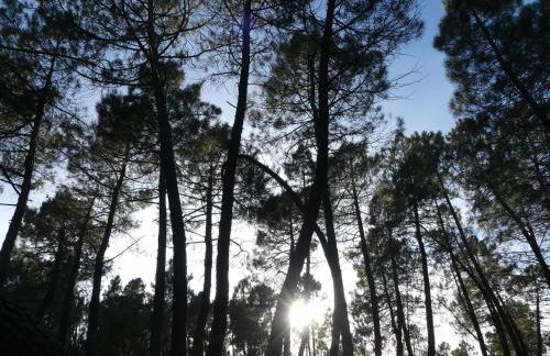 El Rodenal Casa Rural - Foto 36