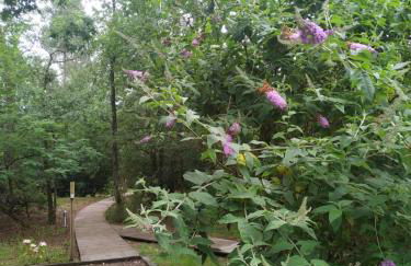 Les roulottes Vesta - Foto 8