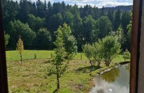 Ferienhaus Gut Haselbach im Erzgebirge - Foto 19