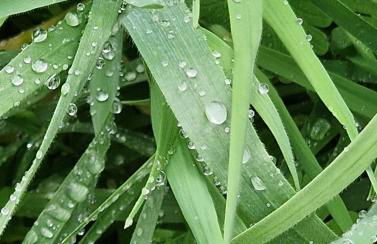 Villa Rita - Photo 58