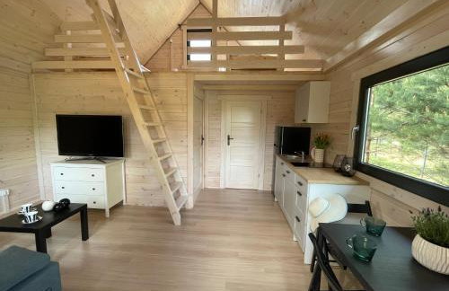 Domki Sosnowy Zakątek Swornegacie - Foto 45