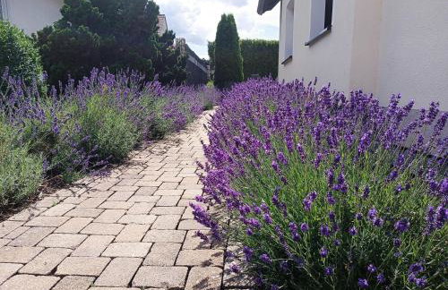 Ferienwohnung Sonnenblick und Relax - Photo 15