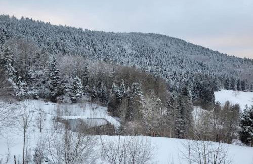 RELAX CHALET Nature Retreat - isolé sur 3 hectares - confort de LUXE - maison entière 150m2 - près de La Bresse - Foto 41