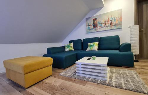 Boutique Apartments Nikola Tesla - Foto 13