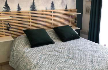 Beautiful apartment in independent chalet, facing mythical Col du Galibier - Foto 17