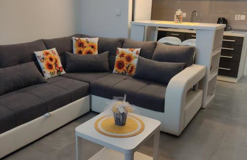 Studio apartman Laura - Foto 14