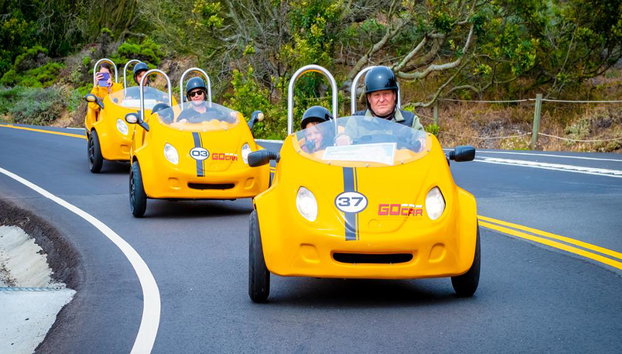 Golden Gate Bridge and Back Loop - GoCar Tour - Foto 5