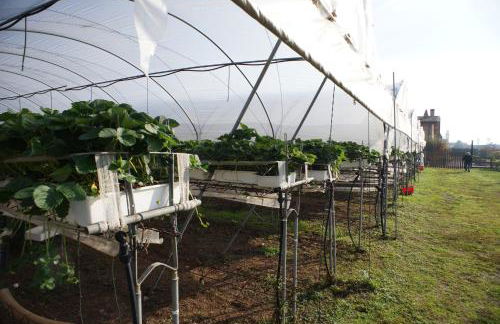 Corte Breda Agriturismo Bed & Breakfast - Foto 33