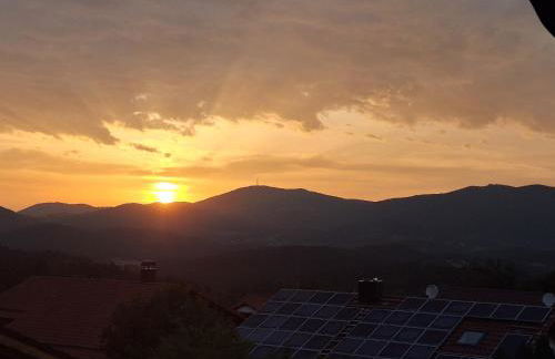 Wohlfühlapartment Erlenberg - Foto 36