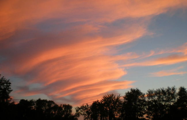 Pleasant Grove Farm LLC - Foto 65