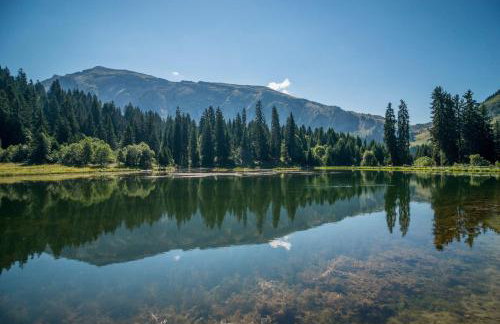 Chalet Ermena - Photo 8