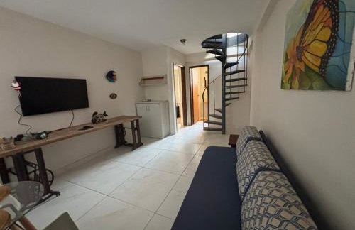 Apes Raizes Douradas - Foto 71