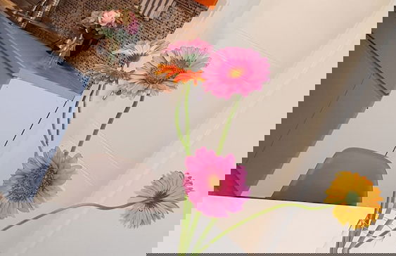 Galeria Nura - Foto 20