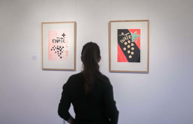 Visit to the ENATE winery - Photo 7