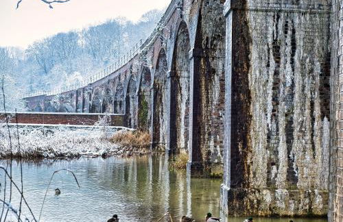 Cherry Tree Studio - Foto 30