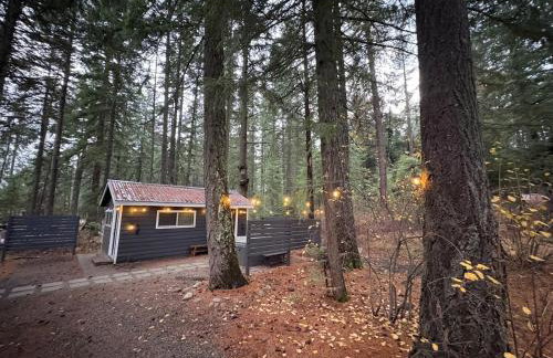 Cabin and Casita Near Rosyln and Suncadia Hot Tub, Game Room, Firepit, Sleeps 11 - Photo 33