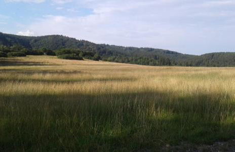 Bubi Niedlich - Foto 32