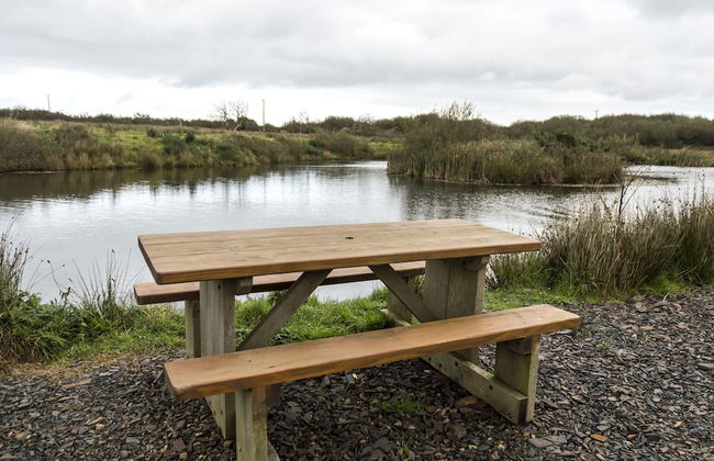 Lavender - Luxurious Barn Conversion - Foto 65