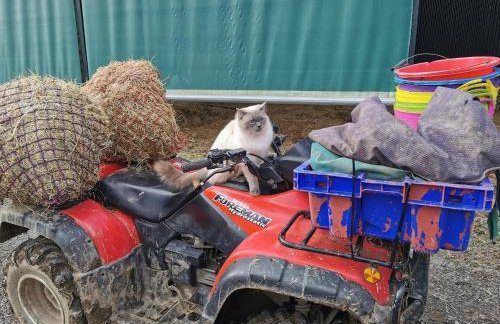 Glen Roe - 3 Bed Lodge on Friendly Farm Stay - Foto 40