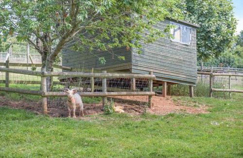 1 Bed in Ashprington oc-m32906 - Photo 31