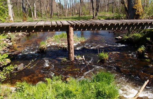 Jałówka - odpocznij na Podlasiu - Foto 38