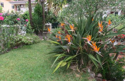 CA L' ANGELINA - Foto 38