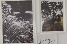 Mas en Provence - Photo 56