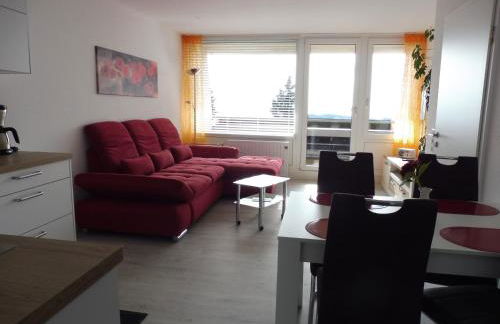 Komfortable Wohnungen und Studio in Sankt Englmar - Foto 49