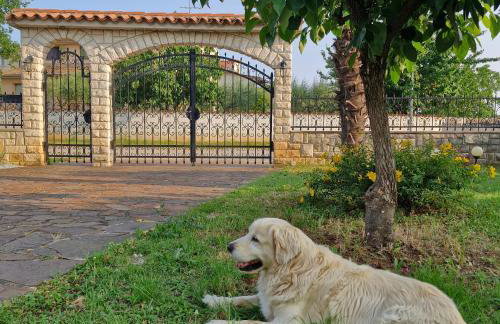 Apartments Mihael and Melani - Foto 6