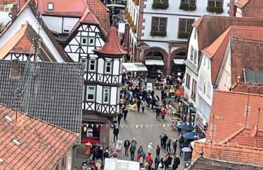 Wohnen im Springerhof - Foto 66