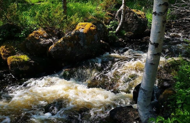 Bryggerihusen - Foto 30