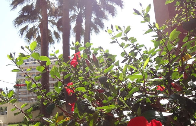 Best View Welcome Apartamentos Karola - Foto 34