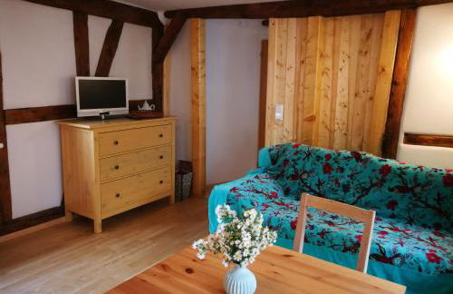 Bio-Ferienwohnung Ellensohn - Foto 7