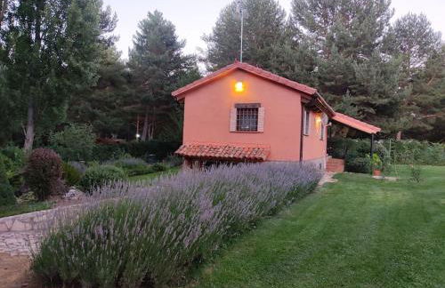 La Finca de Gredos - Photo 23