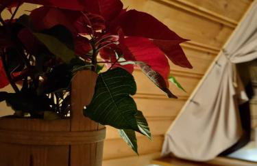 Kotelnica View - Foto 22