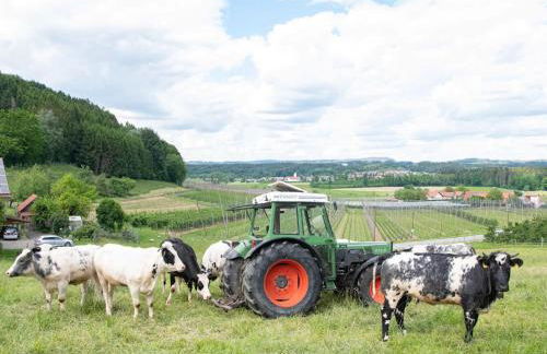 Ferienhof Biegger - Foto 2