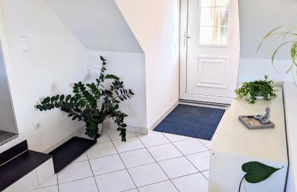 Moderne Einliegerwohnung am Wald - Foto 7