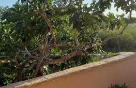 Studio apartman T and T - Photo 20