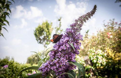 Country House Poggio Fiorito - Foto 7