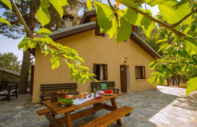 Persephone Cottage - Enhance Your Senses - Foto 1