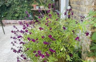 Two charming flats near Notting Hill - Foto 8