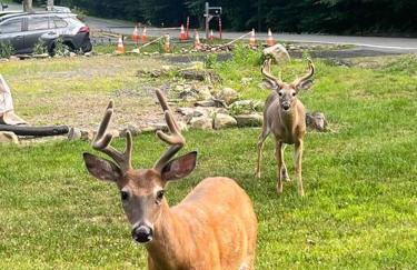 Casa Rosado @ Pocono II by Lake Hot Tub Camelback - Foto 33