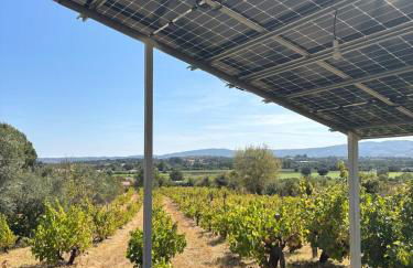 Casa Cabeço do Barragão - Photo 26