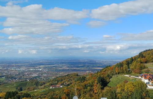 Appartement Bergluft - Foto 1