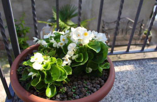 Casa all'era - Foto 24