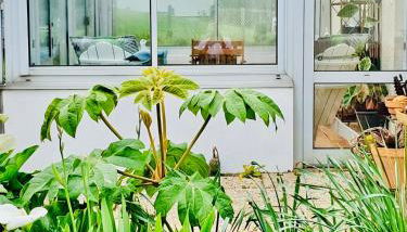 L’Apazys - Foto 5, Garden